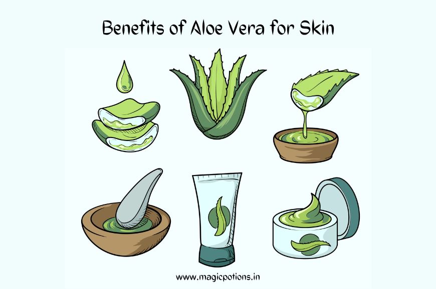 The Benefits of Aloe Vera for Skin